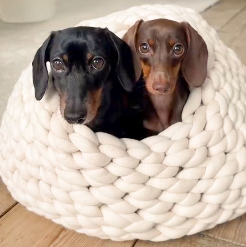 Video-Anleitung Höhle Emma & DIY Katzen- & Hundehöhle Größe L