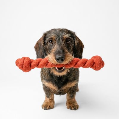 Handgefertigtes Hundespielzeug aus Filz | In vielen Größen