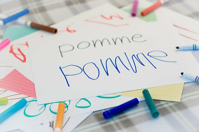 Online French Classes - Biannual