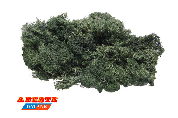 MUSGO ISLAMOND VERDE OSCURO