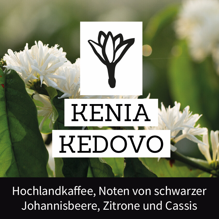 Kenia Kedovo - Projektkaffee