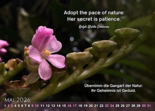 Postkartenkalender 2026 · mittel (15x21cm)