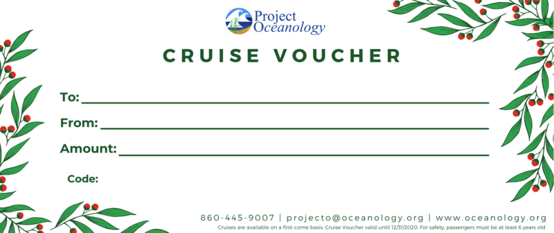 Cruise Voucher - Holiday Themed
