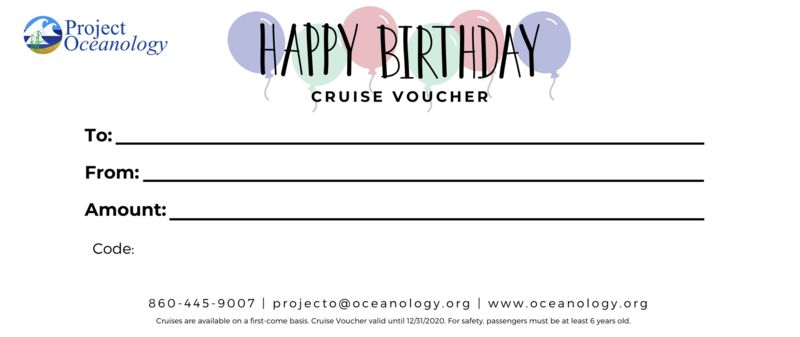 Cruise Voucher - Birthday Themed