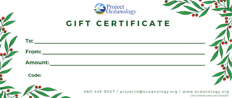 Gift Certificate - Holiday