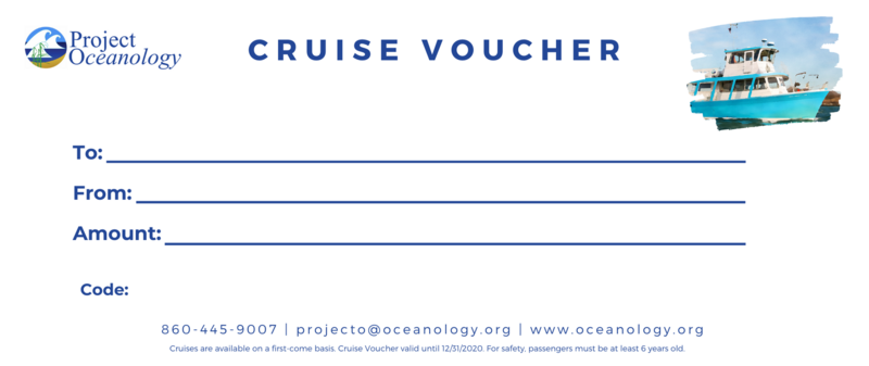 Cruise Voucher