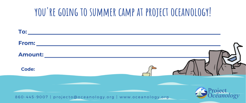 Summer Camp Voucher