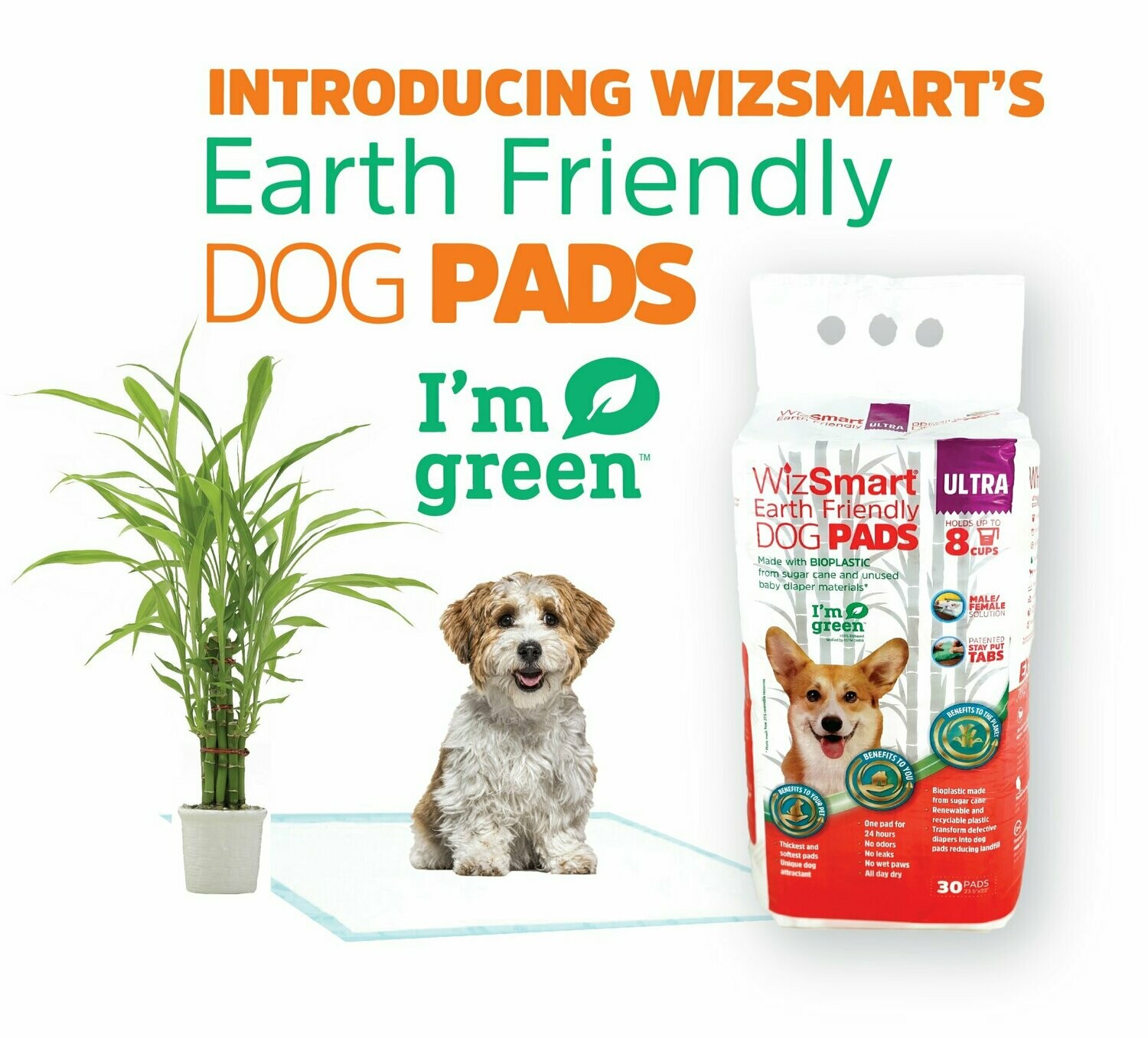 petsense dog diapers
