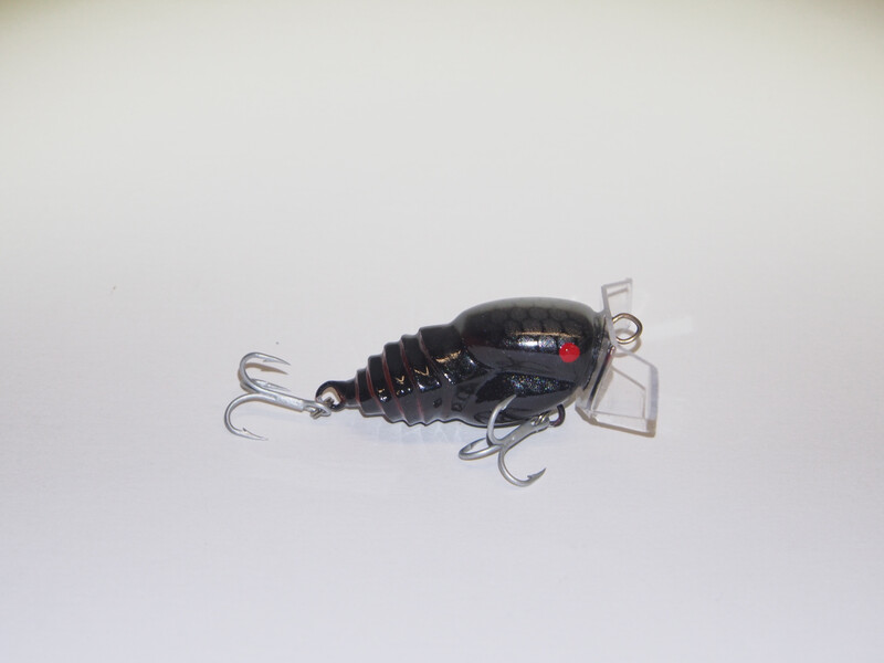 Bello Bug “Black”