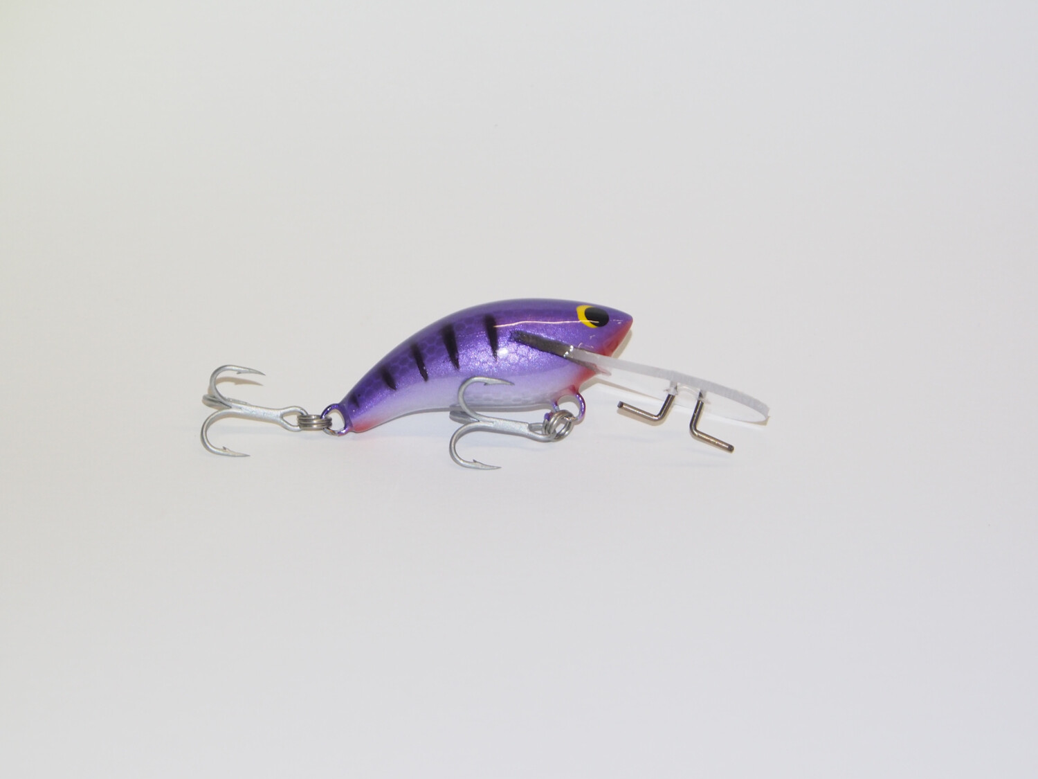 Nugget “Purple”