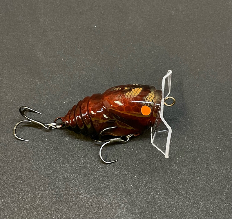 Bello Bug “Jaffa”