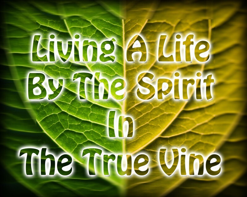 Living A Life By The Spirit In The True Vine - 2 Part Series by Pastor Derrick Donelson - Audio Only