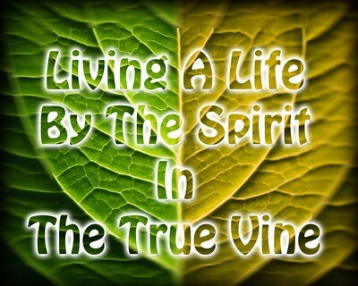 Living A Life By The Spirit In The True Vine - 2 Part Series by Pastor Derrick Donelson - Audio Only