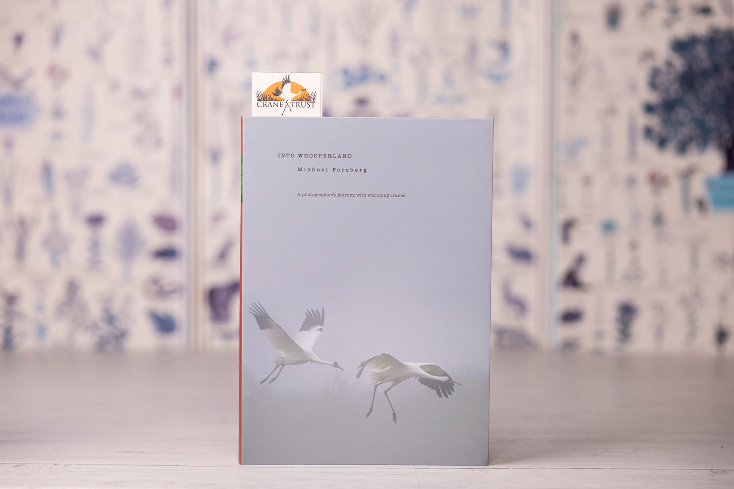 Into Whooperland by Michael Forsberg