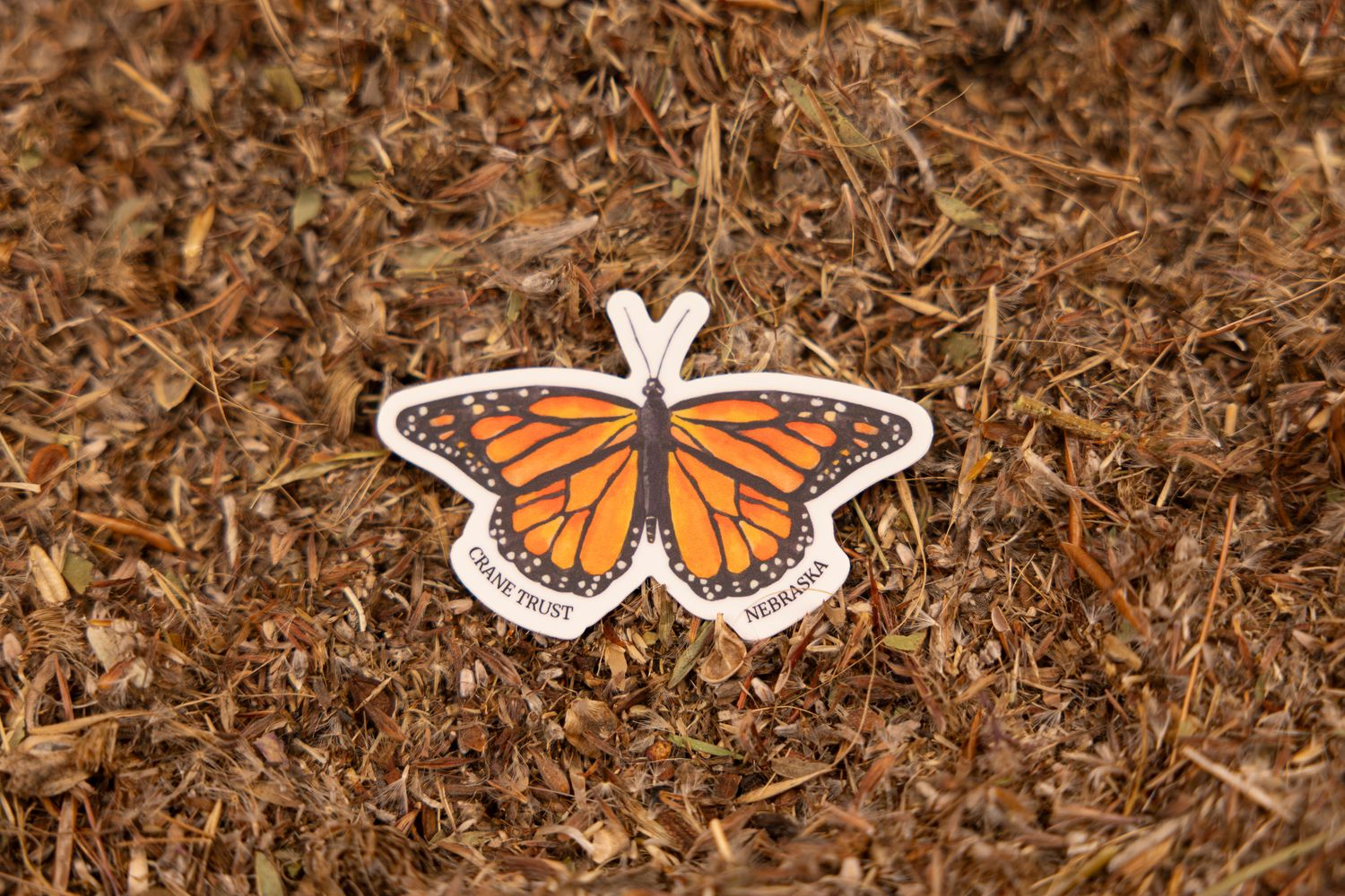 Monarch Butterfly Sticker