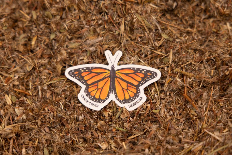 Monarch Butterfly Sticker