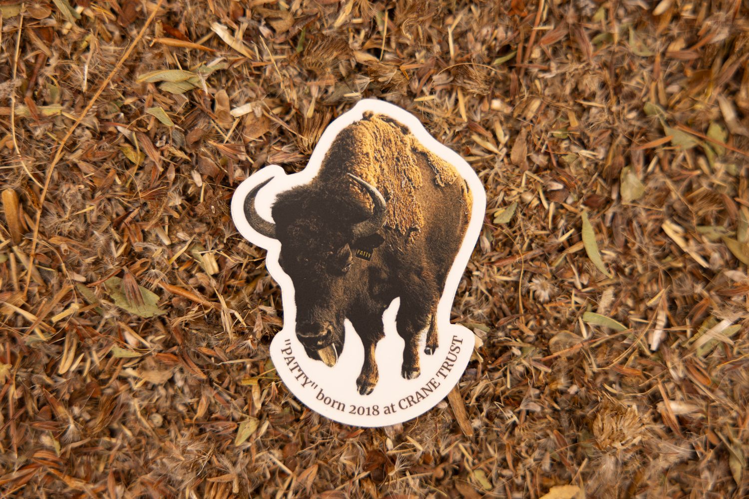 Patty Bison Sticker