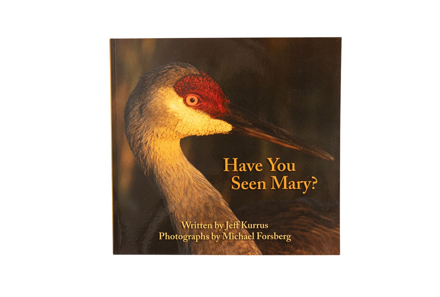 Have You Seen Mary by Jeff Kurrus