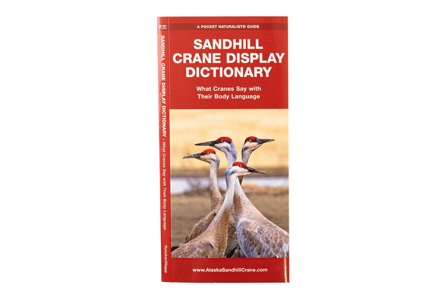 Sandhill Crane Display Dictionary Pamphlet