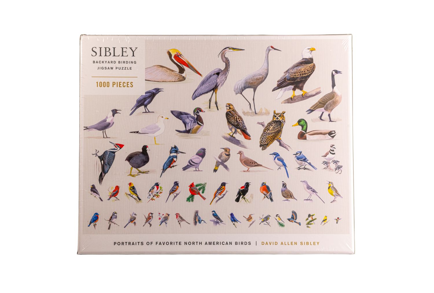 Backyard Birding Puzzle 