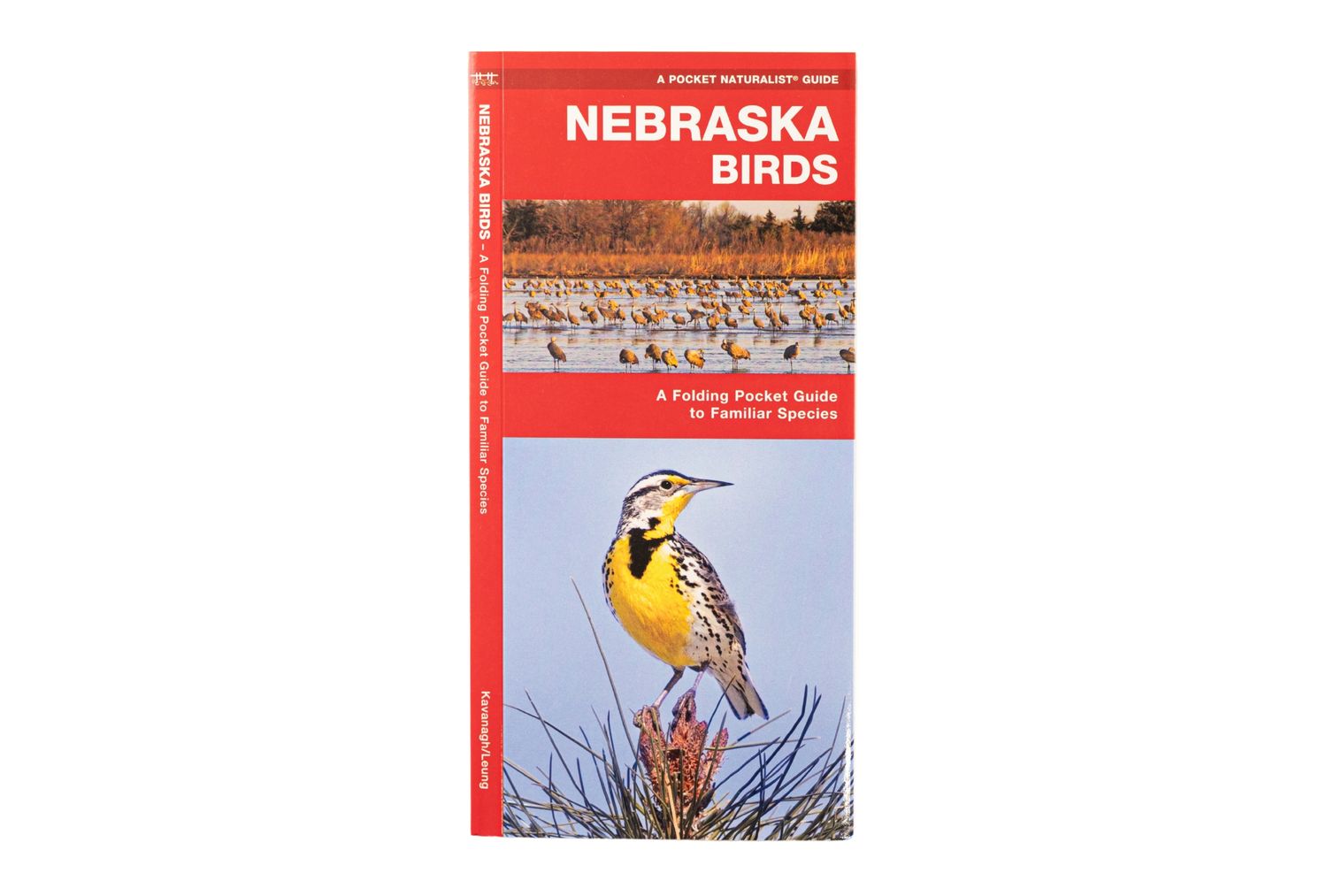 Nebraska Birds Pamphlet