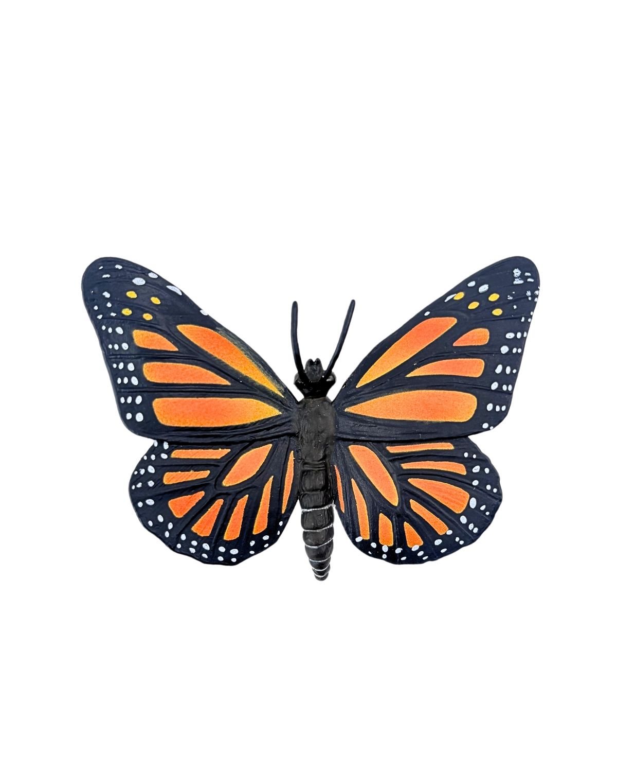 Monarch Butterfly Model