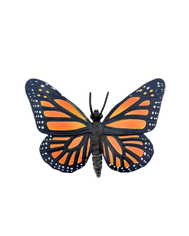 Monarch Butterfly Model