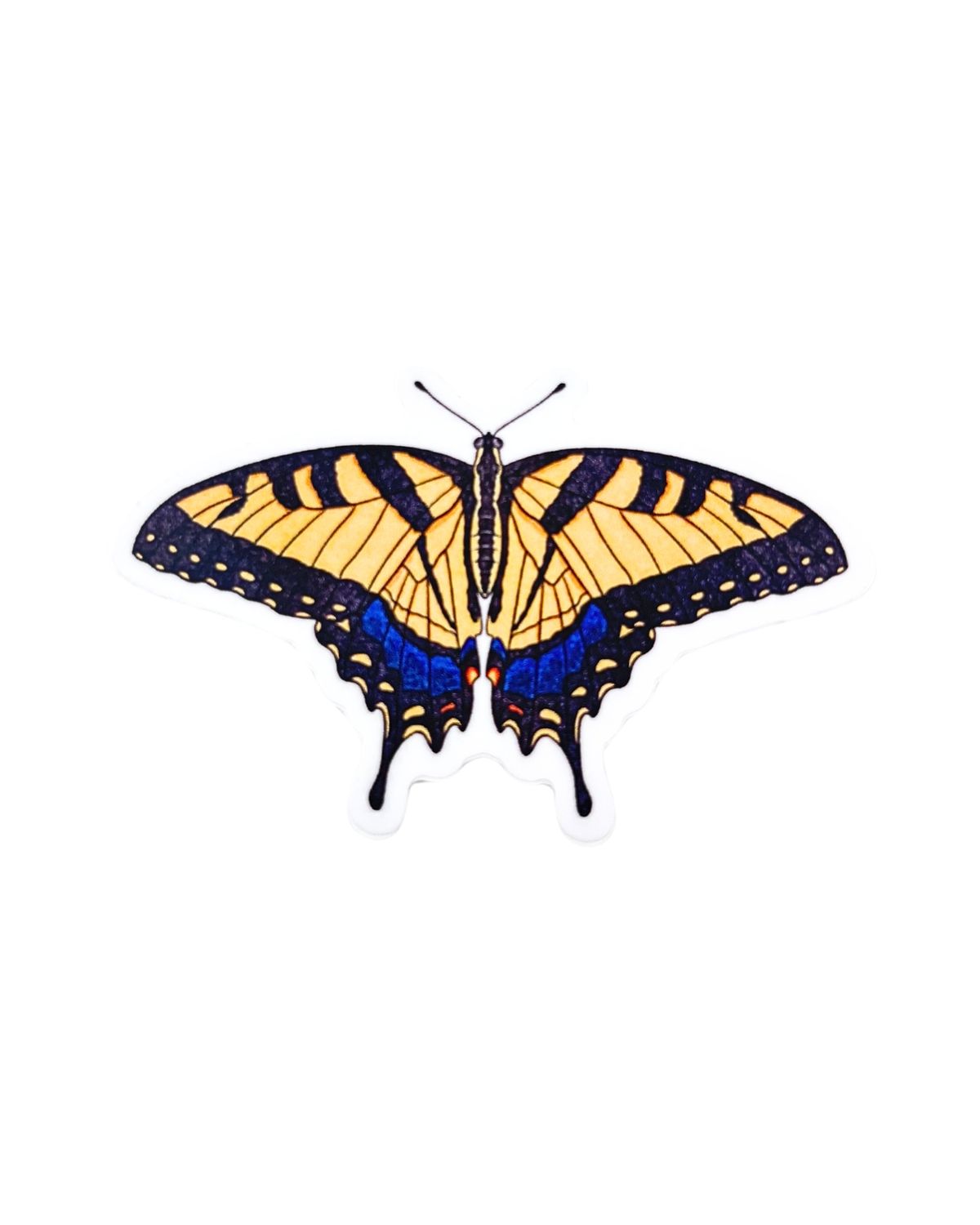 Eastern Tiger Swallowtail Sticker