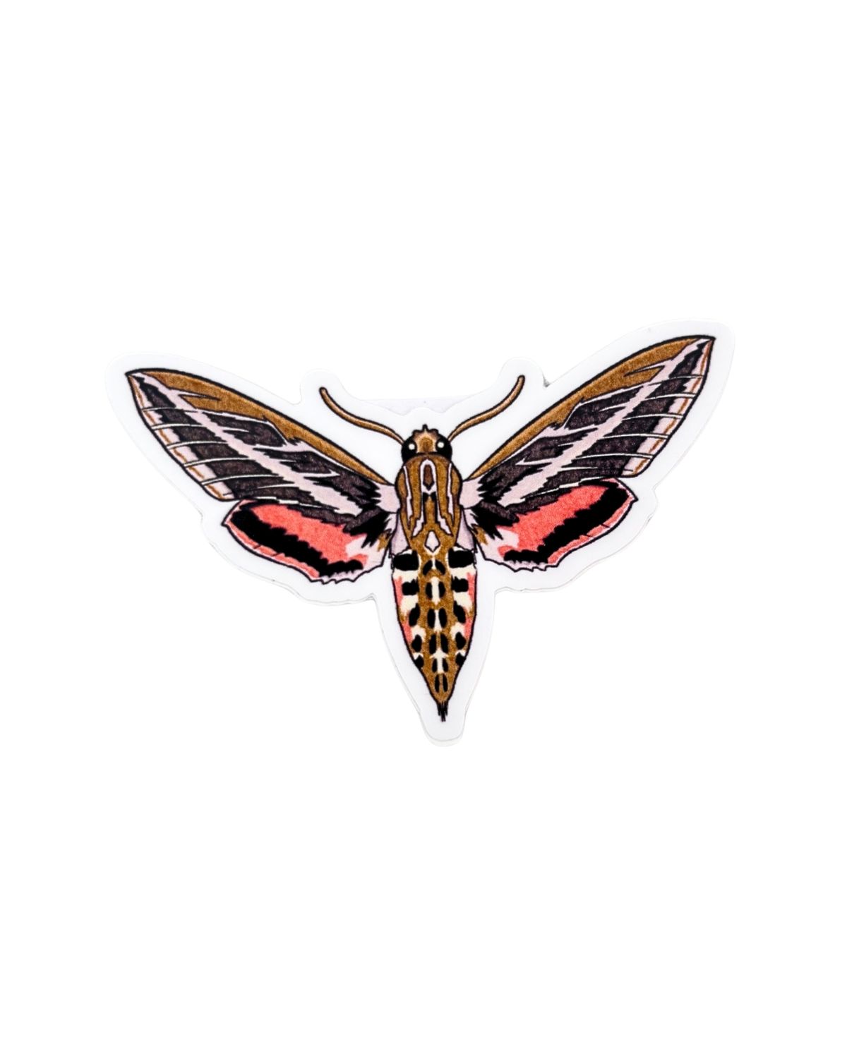 White-Lined Sphinx Moth Sticker
