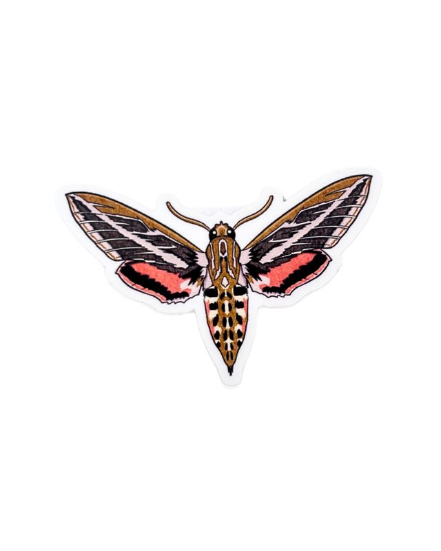 White-Lined Sphinx Moth Sticker