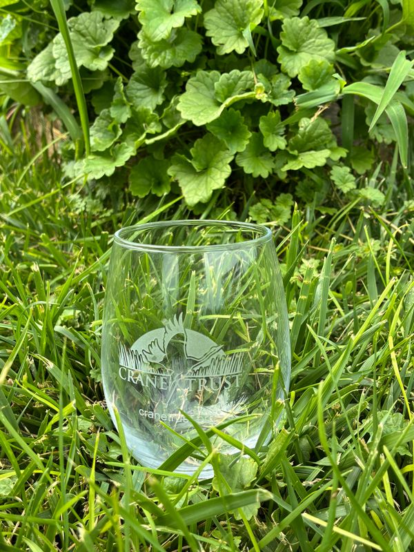 Wine Glasses Etched with Logo (Individual)