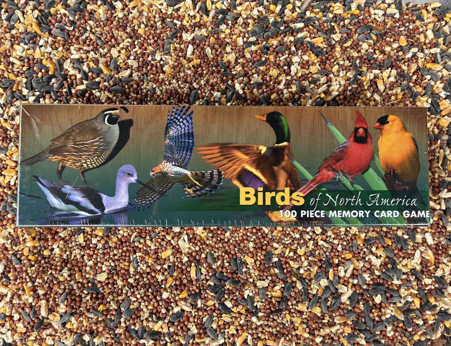 Birds of North America Memory Card Game