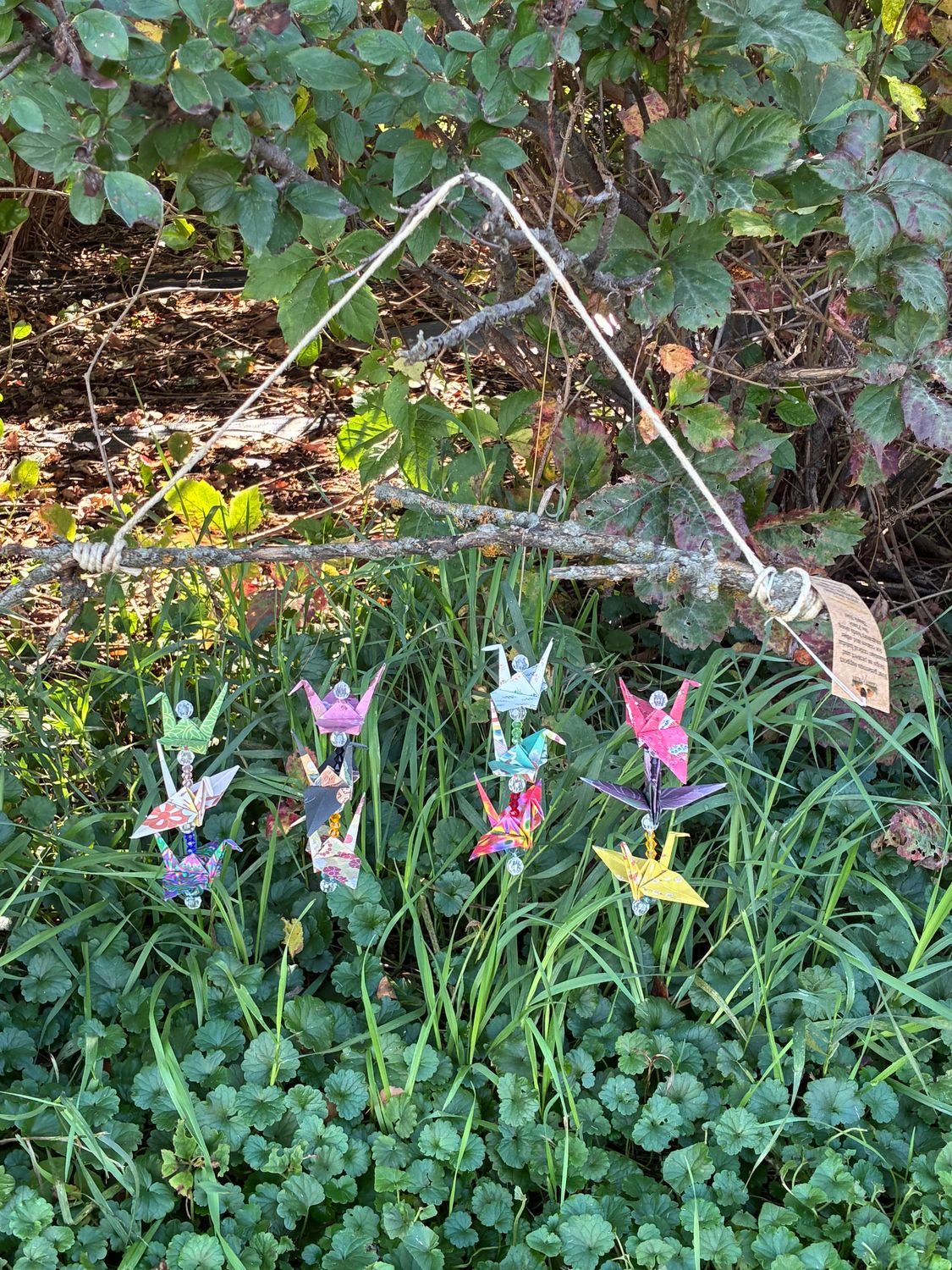 Hanging Origami on Branch #2