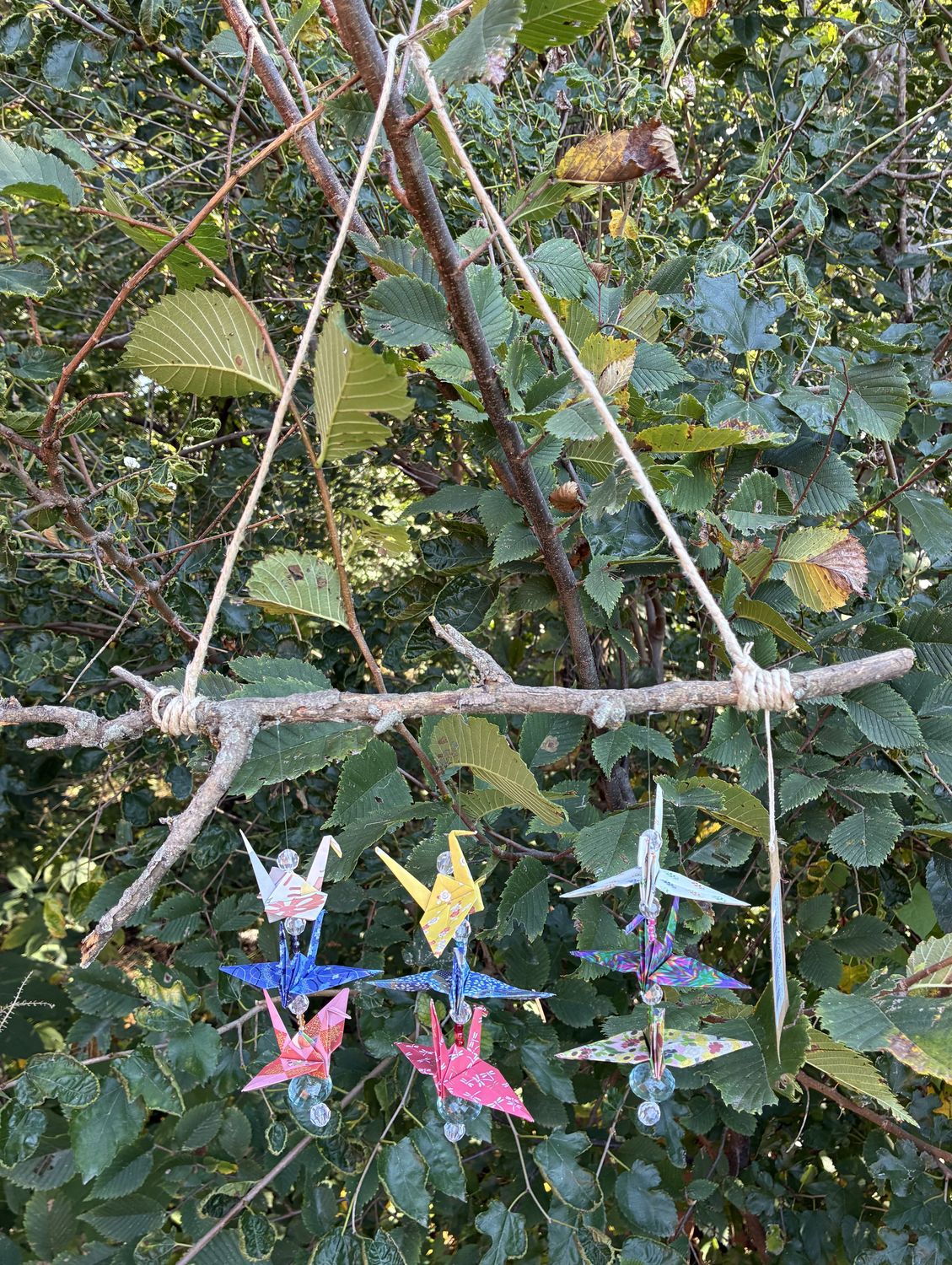 Hanging Origami on Branch #4