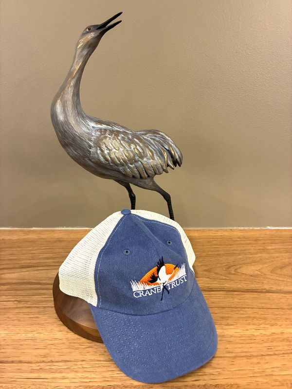 Pigment Dyed Mesh Cap