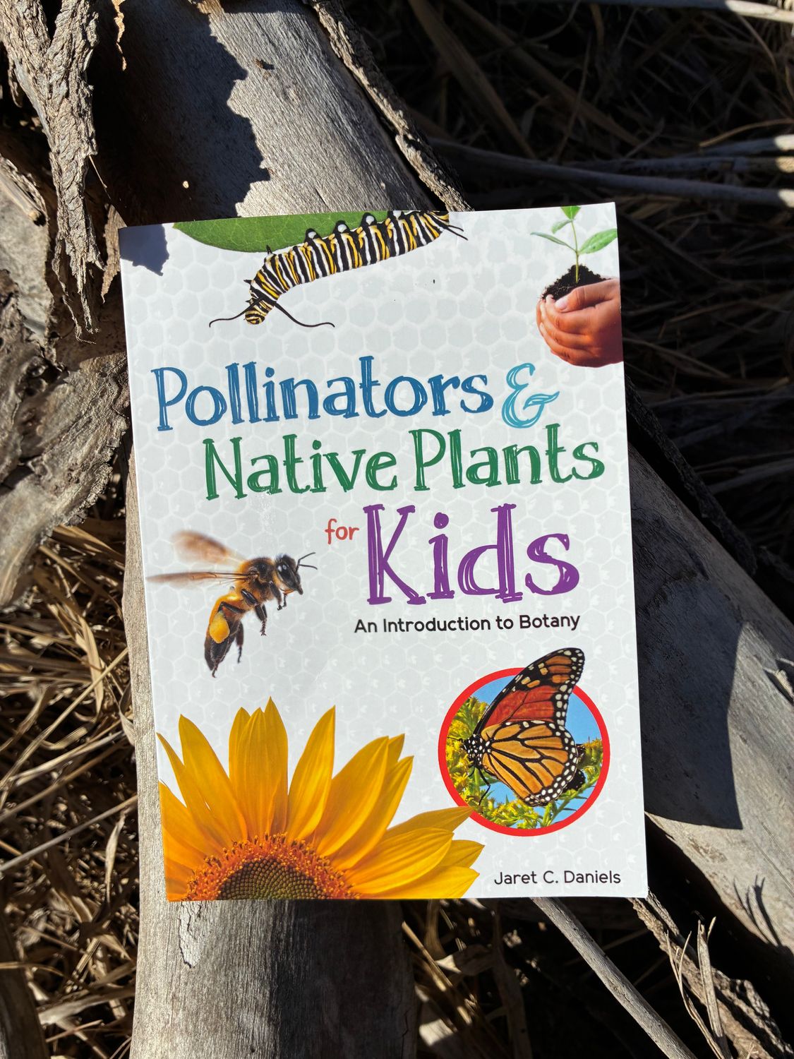 Pollinators for Kids