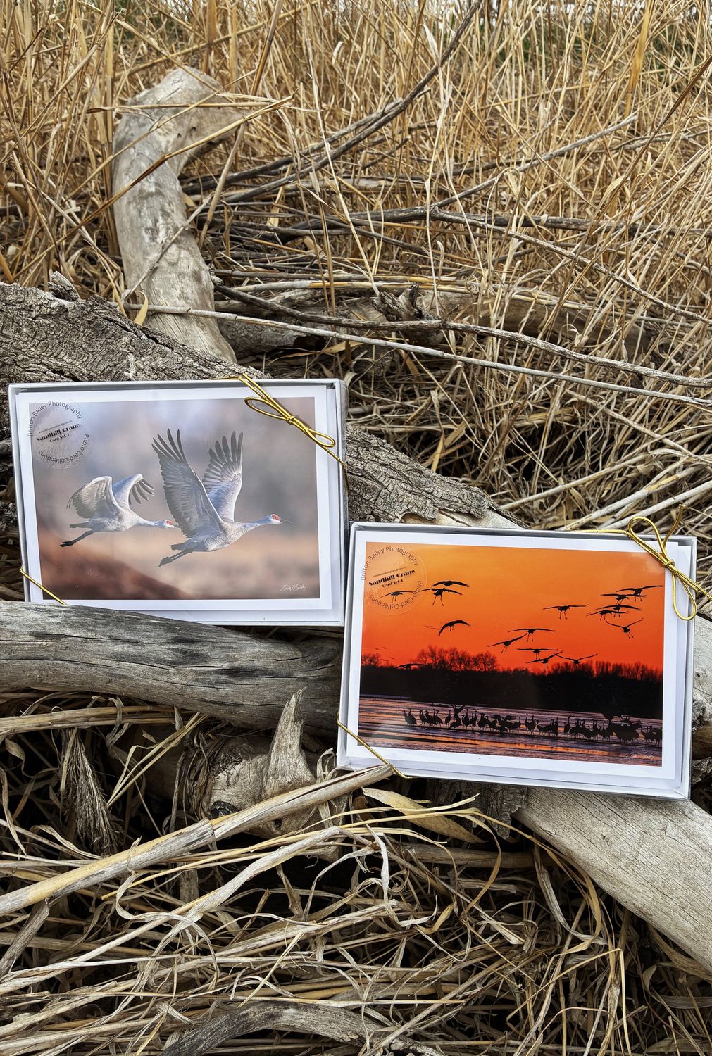 Boxed Card Sets by Britton Bailey