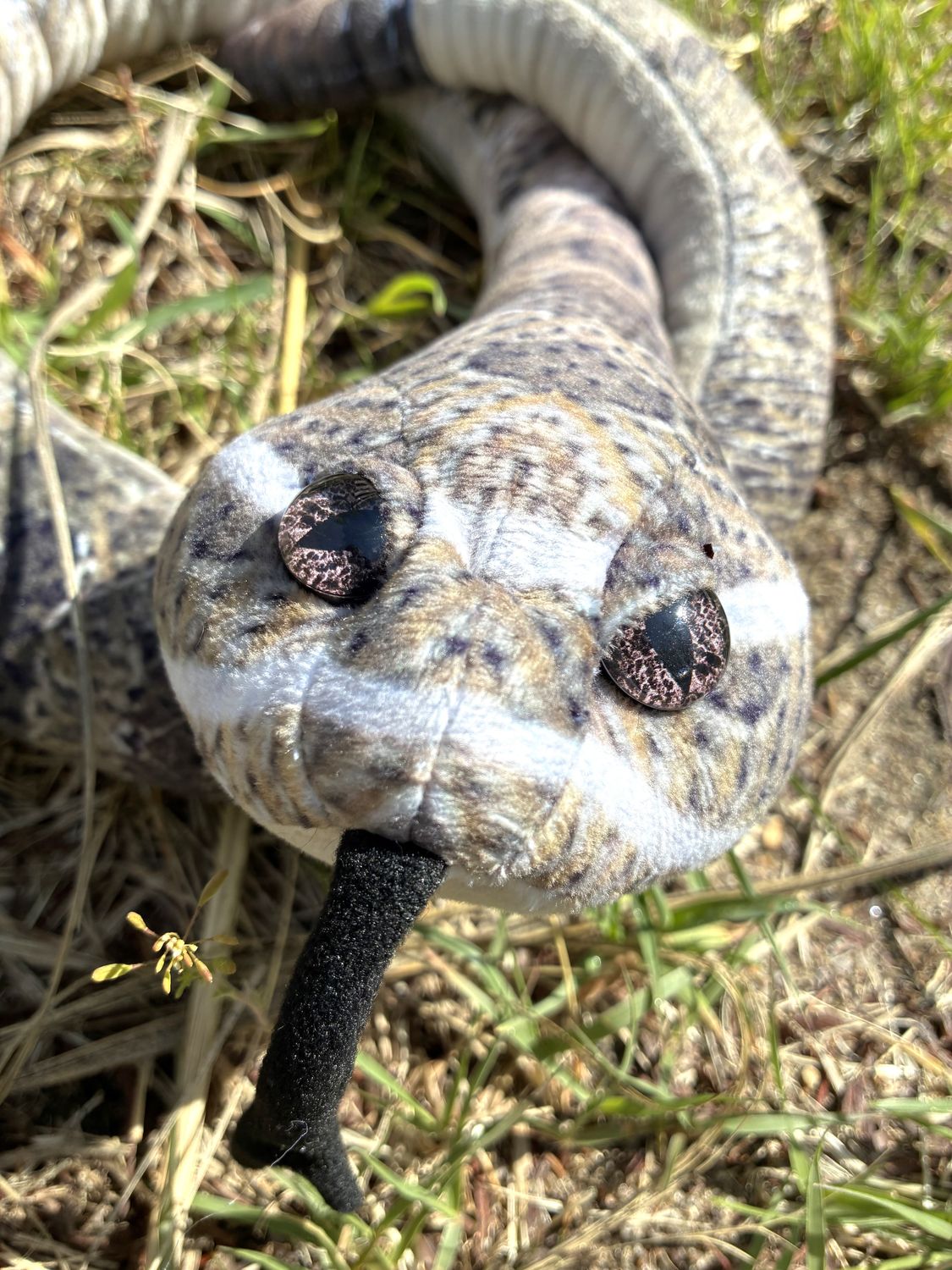 Realistic Rattle Snake Plush