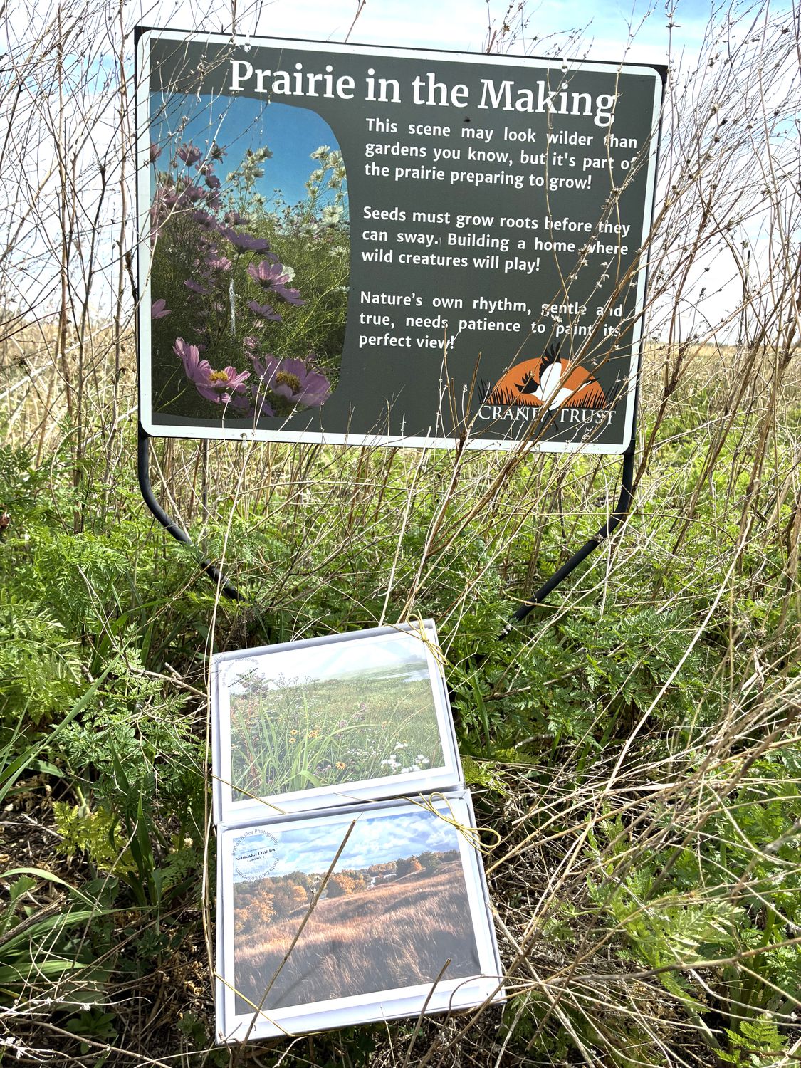 Prairie Cards by Britton Bailey