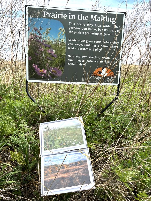 Prairie Cards by Britton Bailey