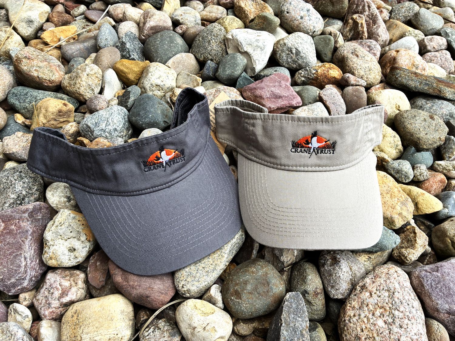Logo Visor