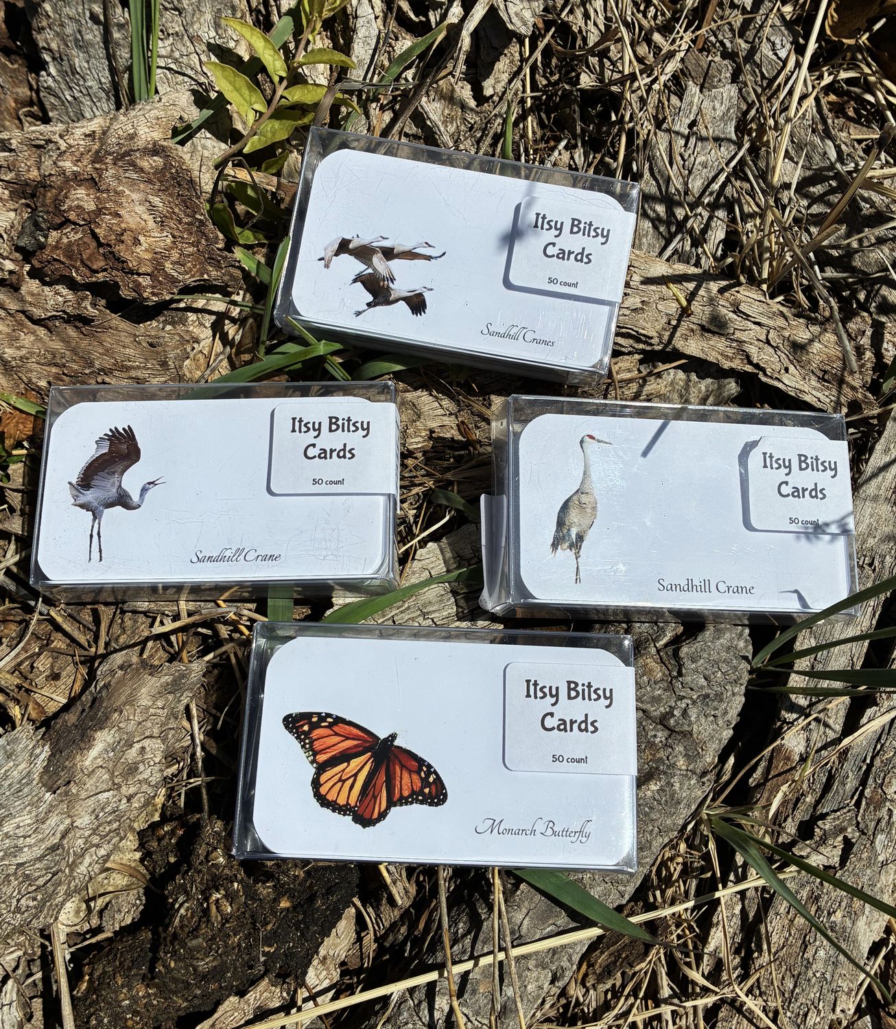 Itsy Bitsy Notecards by Bob Tooley