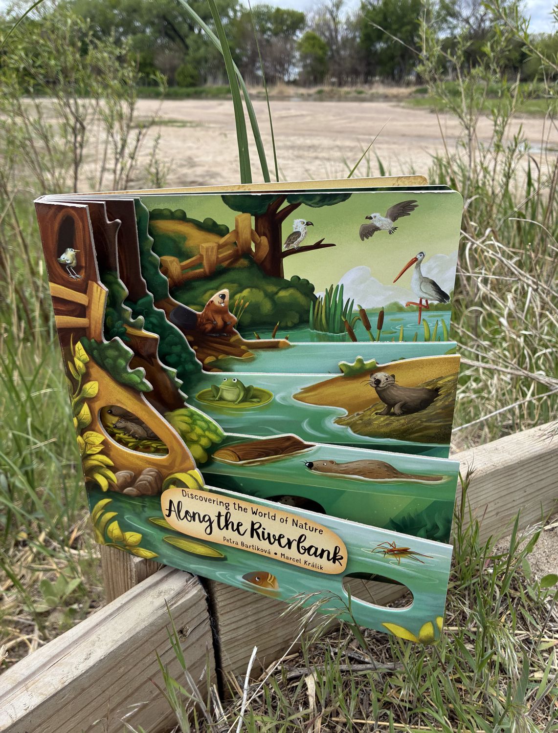 Discovering the World of Nature Along the Riverbank Book