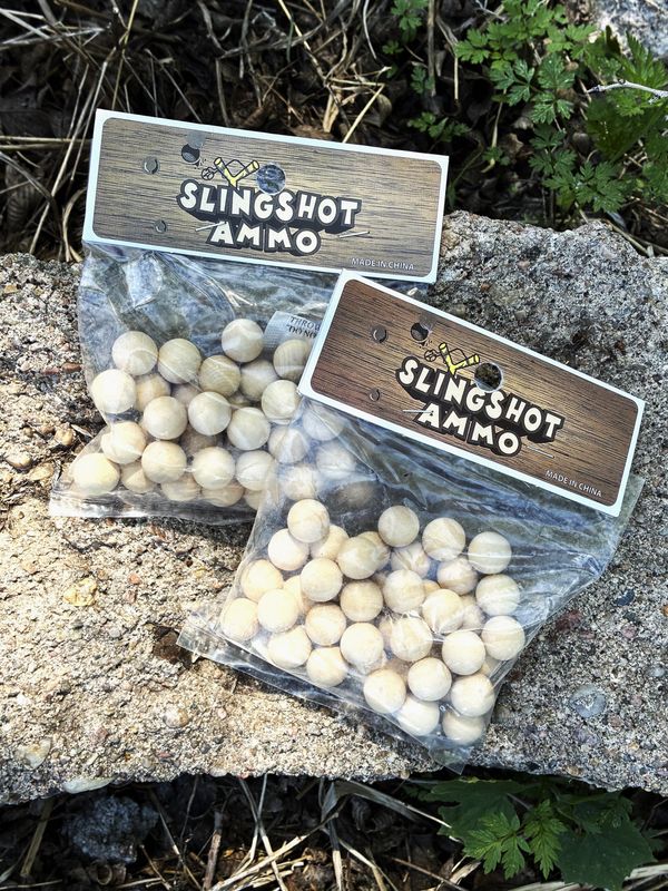 Slingshot Ammo