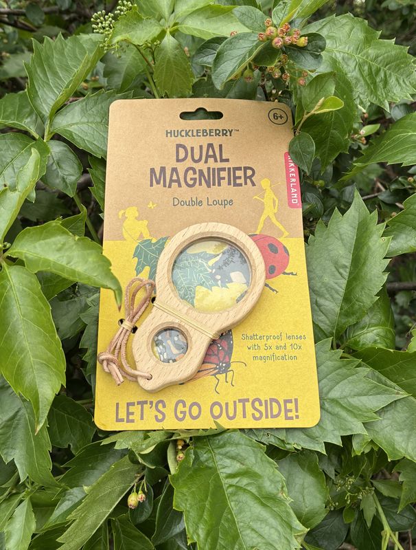 Dual Magnifier
