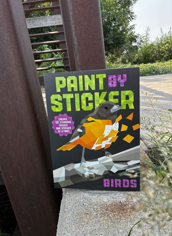 Paint by Sticker Birds