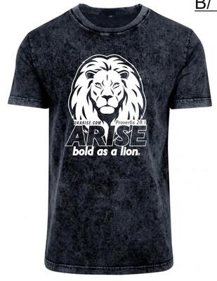 'Bold As A Lion' Acid Wash Emblem T-Shirt