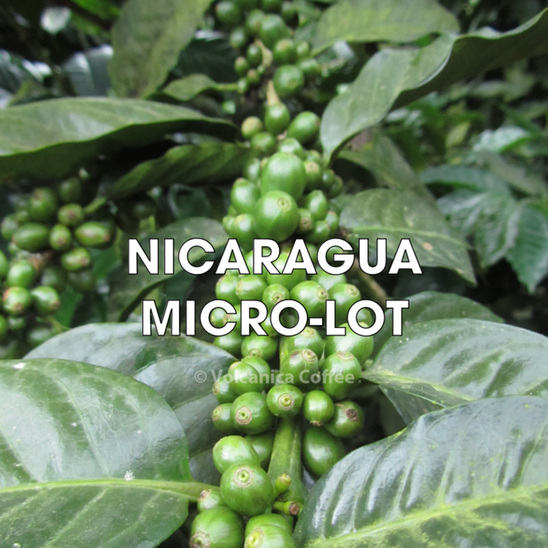 Nicaragua Coffee, Organic, Micro-Lot, 16 oz