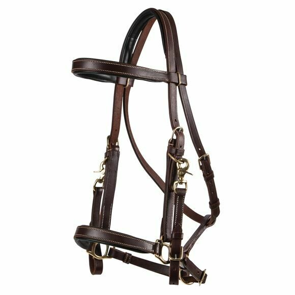 25455 Billy Royal Deluxe Trail Halter Bridle Combo