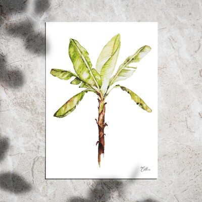 Art Print - Watercolor Bananatree Art Print - Watercolor Bananatree